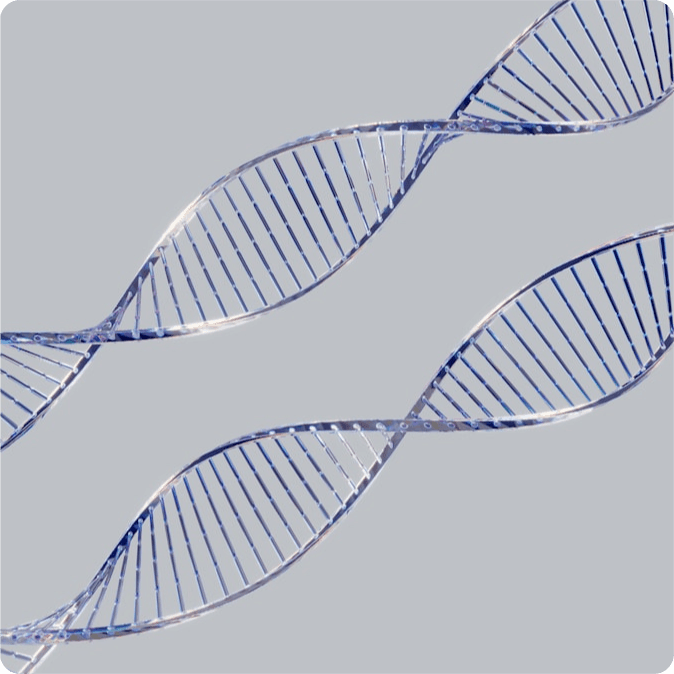 International network for regenerative medicine