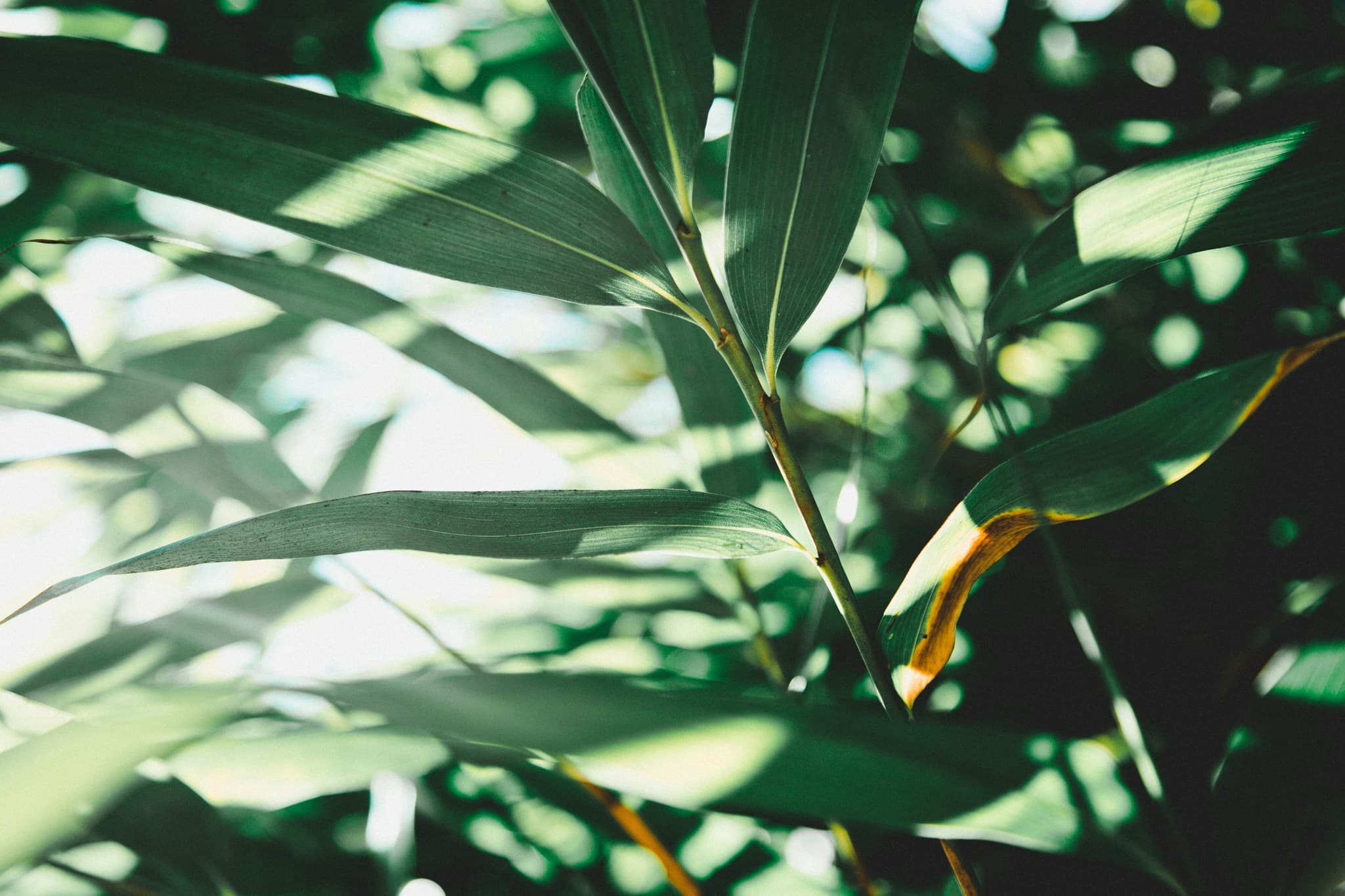 Top 10 Sustainable Practices Every Event Planner Should Adopt in 2026
